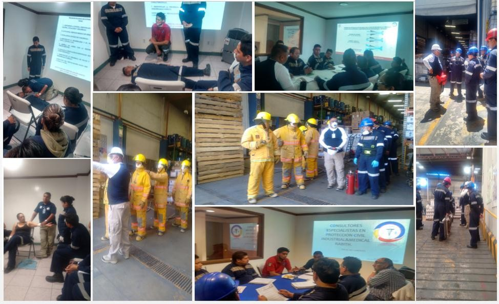 Equipo Multidisciplinario